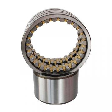 BC4-8007/HB1 Cylindrical roller bearing 2/4 Row
