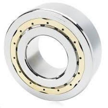 200RV2901 Cylindrical roller bearing 2/4 Row