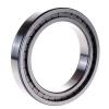 170FC118850 Cylindrical roller bearing 2/4 Row