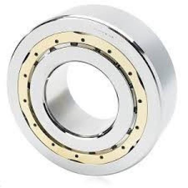 200RV2901 Cylindrical roller bearing 2/4 Row #1 image