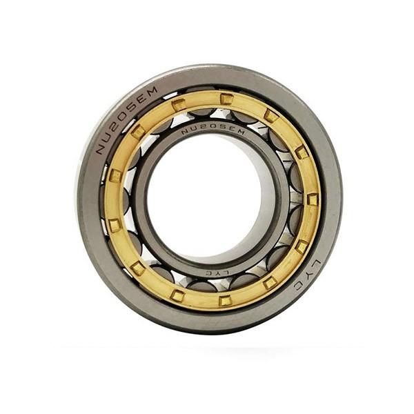 4R8010 Quadruple Row Cylindrical Roller Bearings #1 image