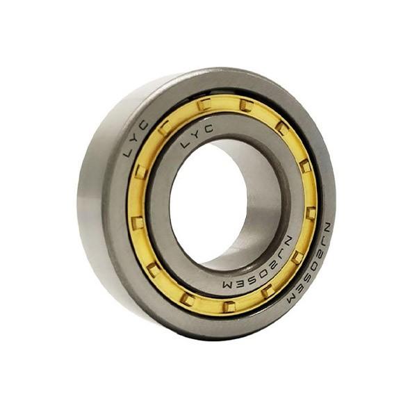 Replace672818 Quadruple Row Cylindrical Roller Bearings #1 image