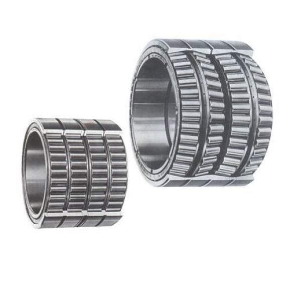 315973 Multiple Row Cylindrical Bearings #1 image