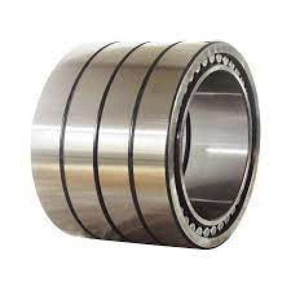 300RV4201 Multiple Row Cylindrical Bearings #1 image